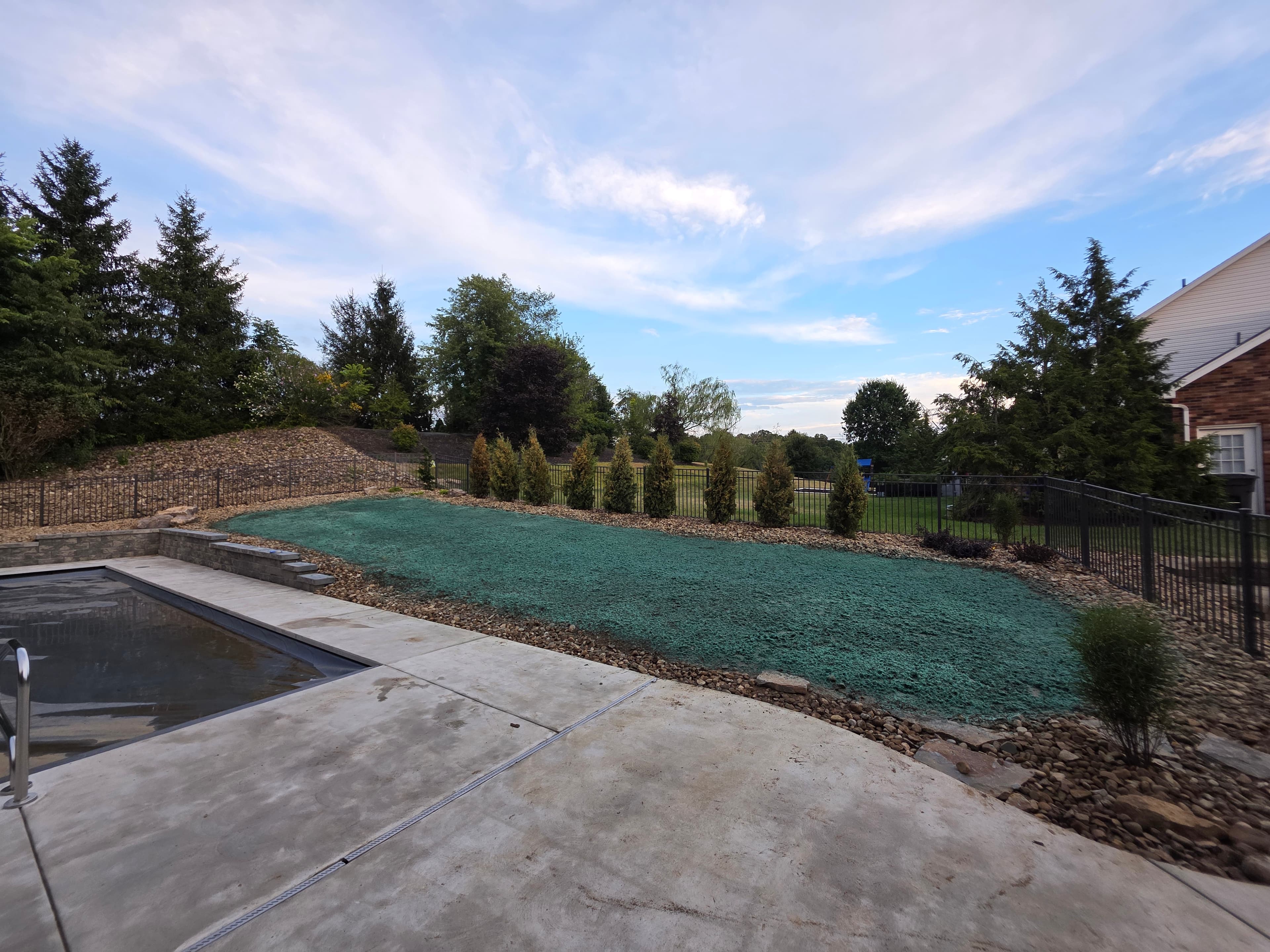 Backyard pool landscaping