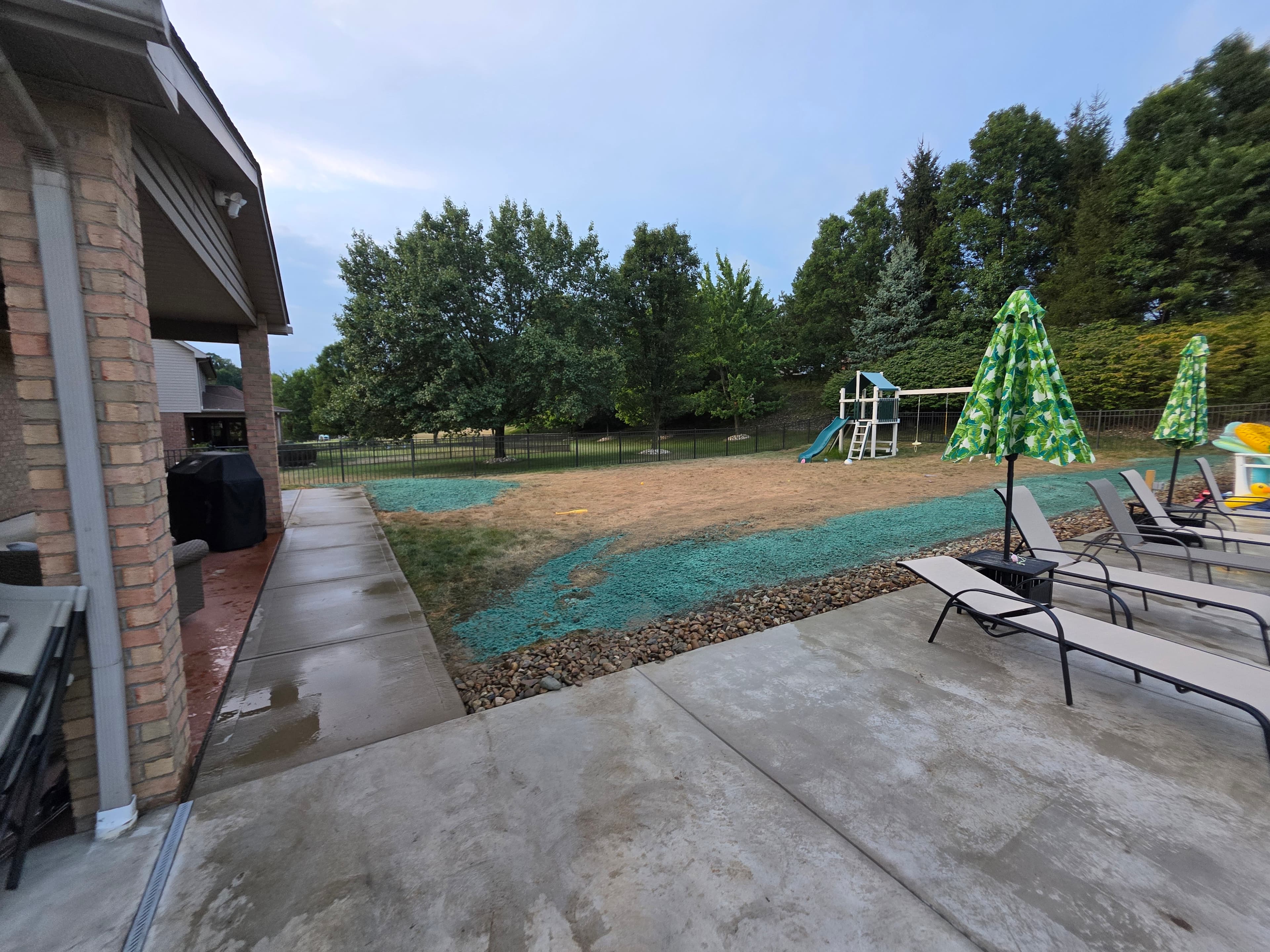 Biotic Soil Media (BSM) results