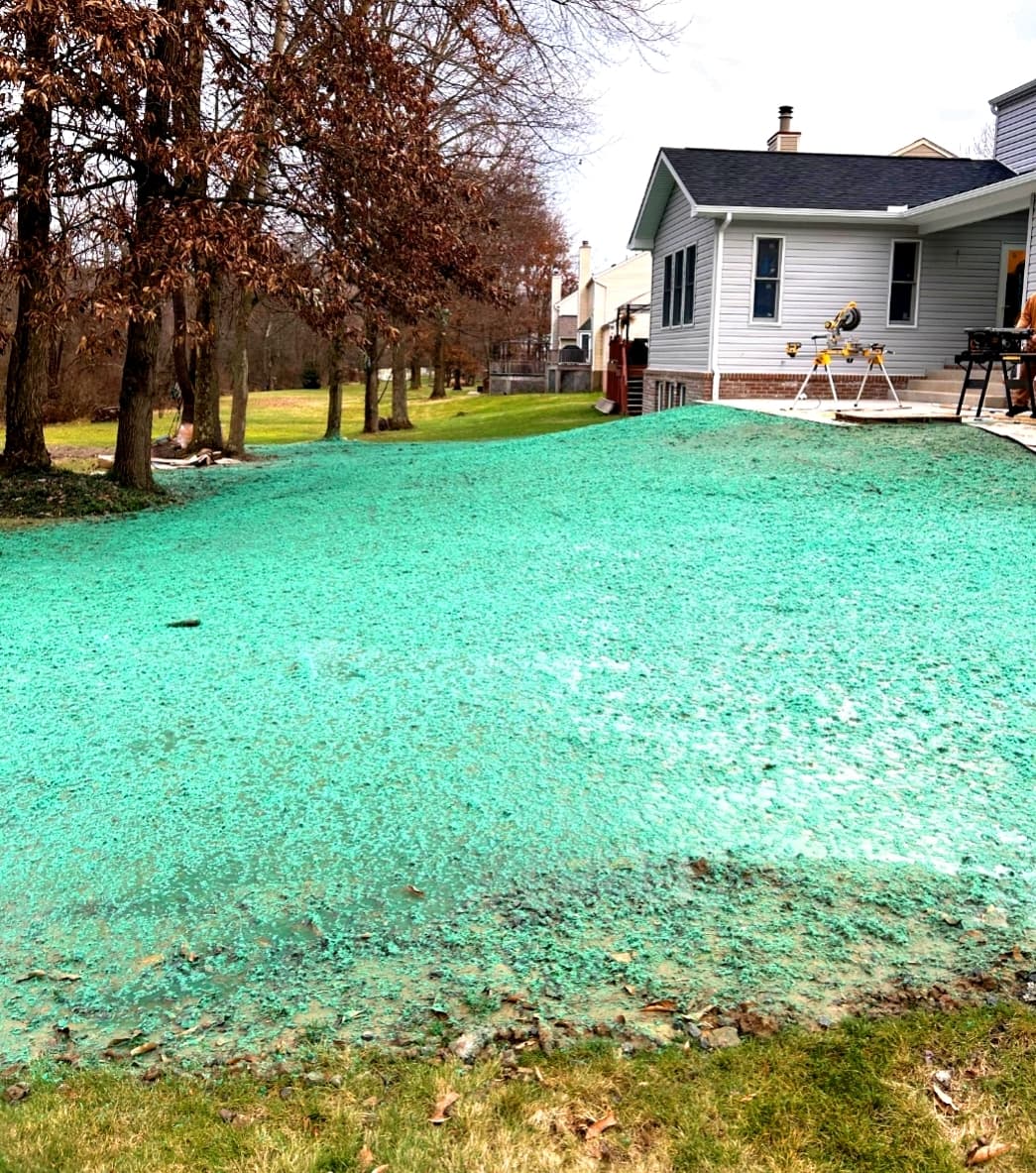 Hydroseeding vs. Sod: The Real Cost Breakdown