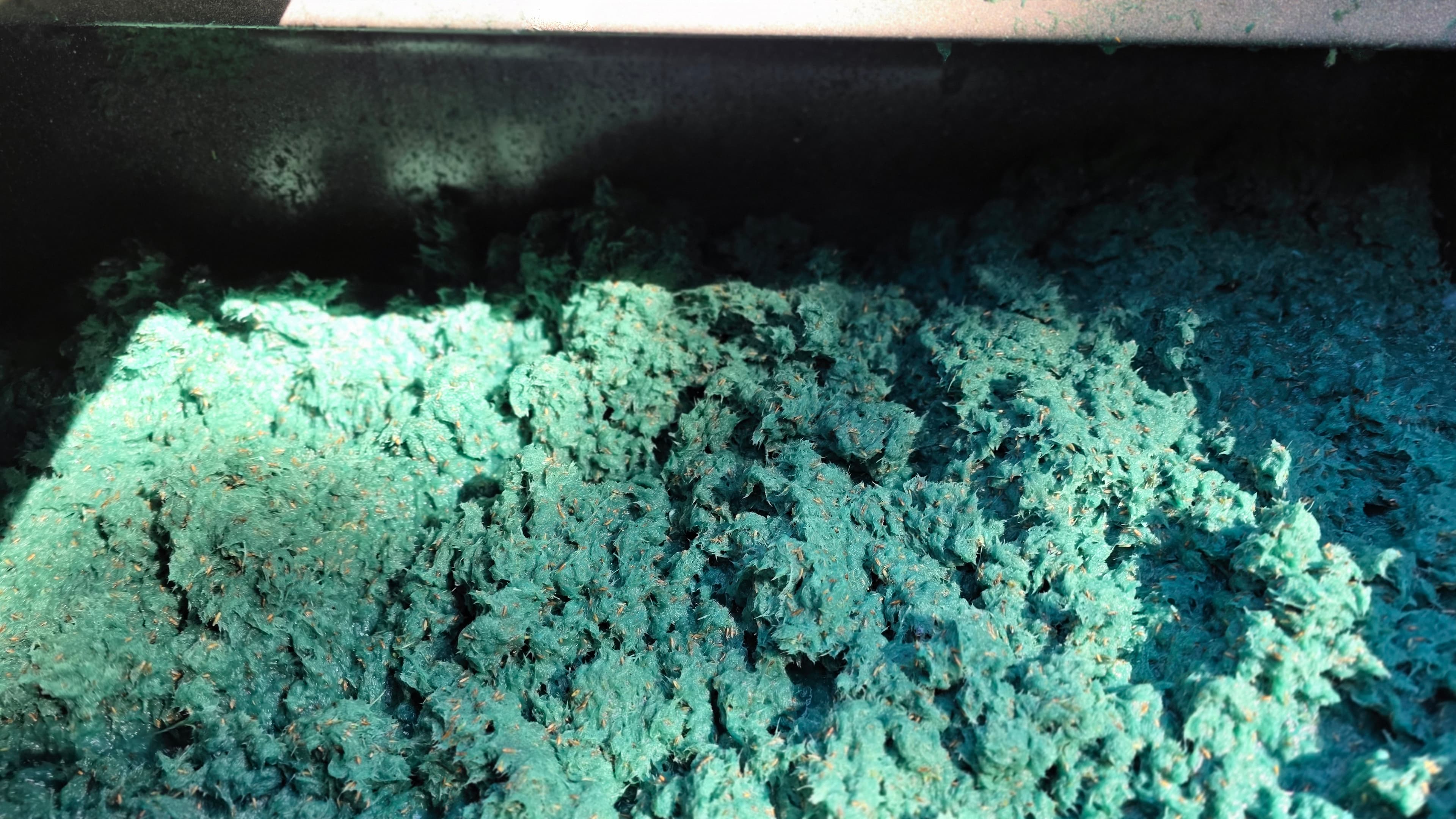 Biotic Soil Media (BSM)